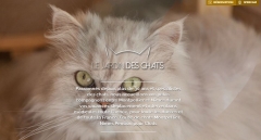 Pension pour Chats Montpellier